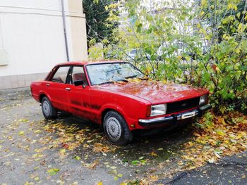 Car parked against trees