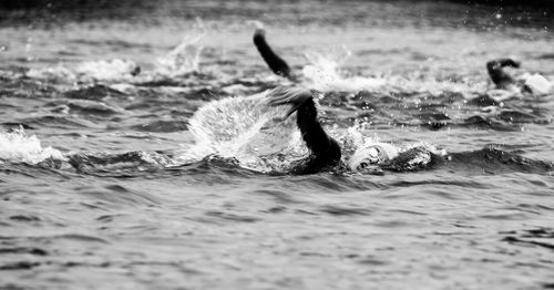 Man surfing in sea