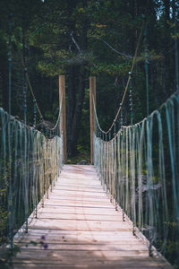 View of footbridge in forest