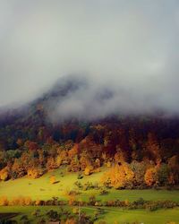 Scenic view of landscape against sky during autumn