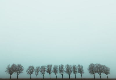 Trees on field against clear sky