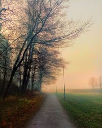 Road amidst bare trees on field against sky