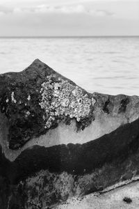 Scenic view of sea shore against sky