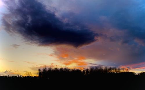 Low angle view of silhouette trees against dramatic sky