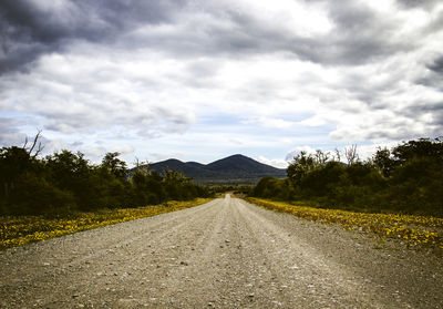 Road amidst trees against sky