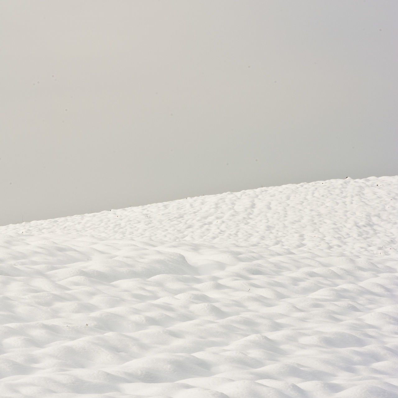 SNOW COVERED LAND