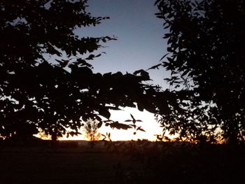 Silhouette trees on landscape against clear sky