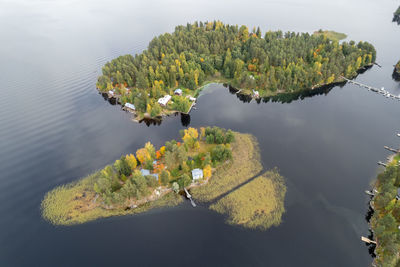 Aerial drone view of rono and varnisaary island in kallavesi lake eastern finland kuopio , europe