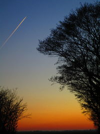 Low angle view of silhouette tree against orange sky