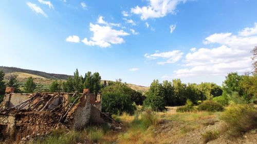 Panoramic shot of trees on field against sky