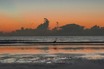 Sunset over sea