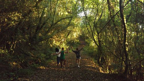 Man standing on tree trunk in forest