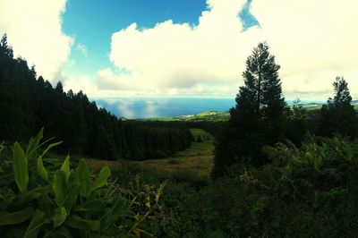 Panoramic view of green landscape against sky