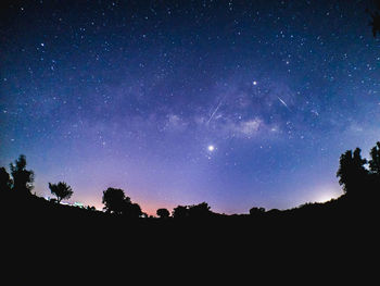 Low angle view of silhouette trees against sky at night