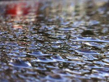 Reflection of trees in water