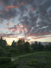 Scenic view of field against sky during sunset