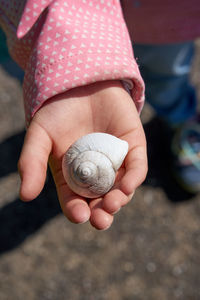 Low section of child holding animal shell on road
