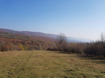 Scenic view of landscape against clear sky