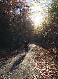 Rear view of person walking on footpath in forest