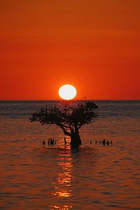 Silhouette people in sea against orange sky during sunset