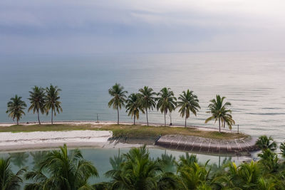 Palm trees by swimming pool against sky