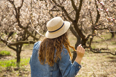 Rear view of woman wearing hat looking at trees