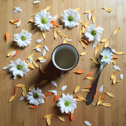 High angle view of flowers in vase on table