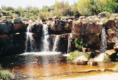 Scenic view of waterfall in forest
