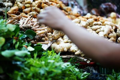 Close-up of hand holding food