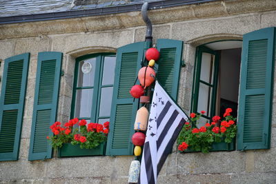 Low angle view of red flower hanging on building