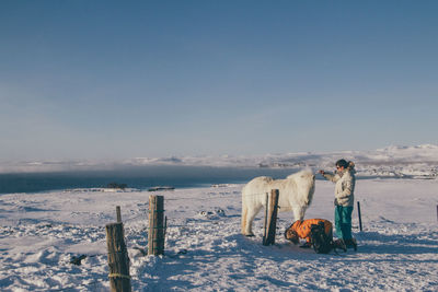 Panoramic view of horse on snow against sky