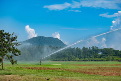 Scenic view of field against sky