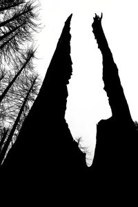 Low angle view of silhouette plants against clear sky