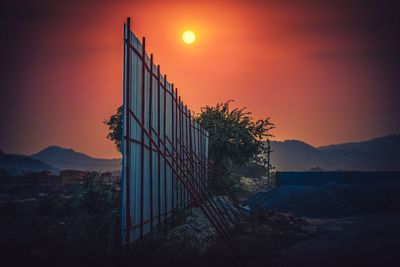 Silhouette plants against orange sky