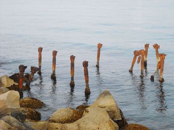 Rusty metallic poles in sea