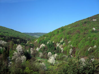 Trees on mountains against clear sky