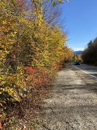 Road amidst trees against sky during autumn