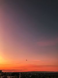 Silhouette bird flying over sea against romantic sky at sunset