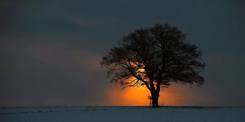 Silhouette tree by sea against sky during sunset