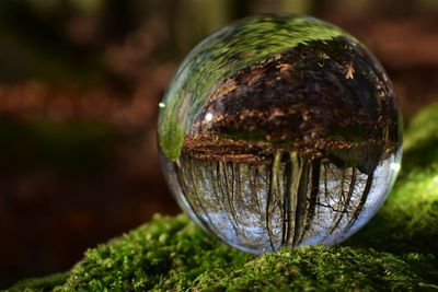 Close-up of crystal ball on field
