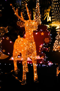 Illuminated christmas tree at night