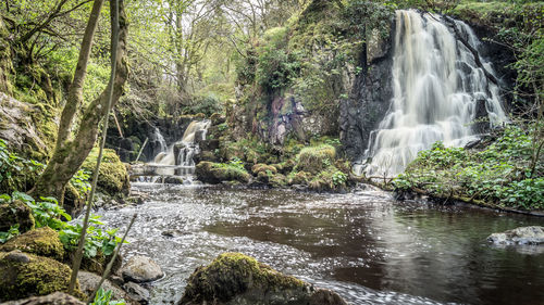 Scenic view of waterfall in forest