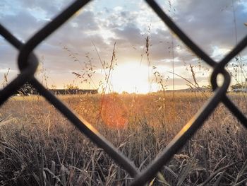 Scenic view of field against sky at sunset