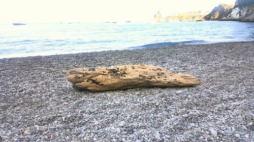 Rocks on beach against sky