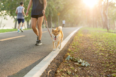 Rear view of woman with dog walking on footpath