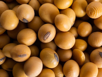 Close up shoot of soybeans on a wooden cup. shoot on a white isolated background