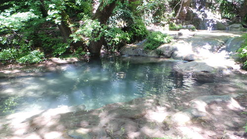 Stream flowing through a forest