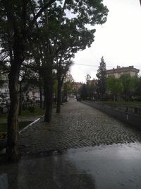 Wet road amidst trees in city during rainy season