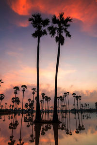 Silhouette palm trees against romantic sky at sunset