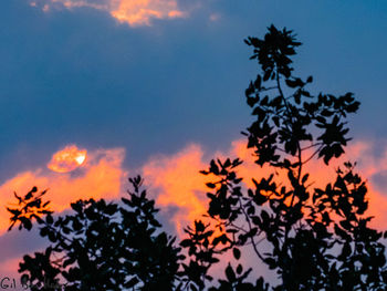 Low angle view of silhouette trees against romantic sky